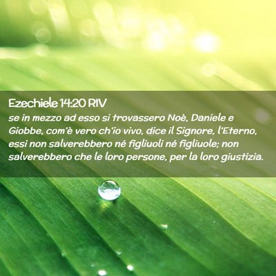 Picture 02 - Ezechiele 14:20 RIV - se in mezzo ad esso si trovassero Noè, Daniele e - Bible Verse Picture
