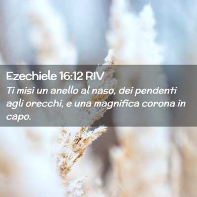 Picture 02 - Ezechiele 16:12 RIV - Ti misi un anello al naso, dei pendenti agli - Bible Verse Picture