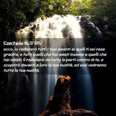 Picture 02 - Ezechiele 16:37 RIV - ecco, io radunerò tutti i tuoi amanti ai quali - Bible Verse Picture