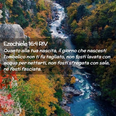 Picture 02 - Ezechiele 16:4 RIV - Quanto alla tua nascita, il giorno che nascesti - Bible Verse Picture