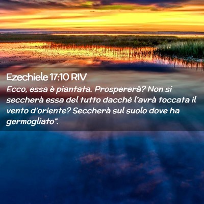 Picture 02 - Ezechiele 17:10 RIV - Ecco, essa è piantata. Prospererà? Non si - Bible Verse Picture