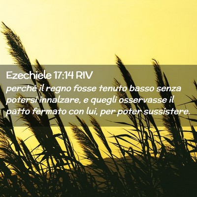 Picture 02 - Ezechiele 17:14 RIV - perché il regno fosse tenuto basso senza potersi - Bible Verse Picture