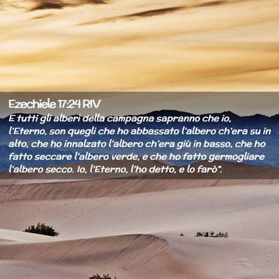 Picture 02 - Ezechiele 17:24 RIV - E tutti gli alberi della campagna sapranno che - Bible Verse Picture