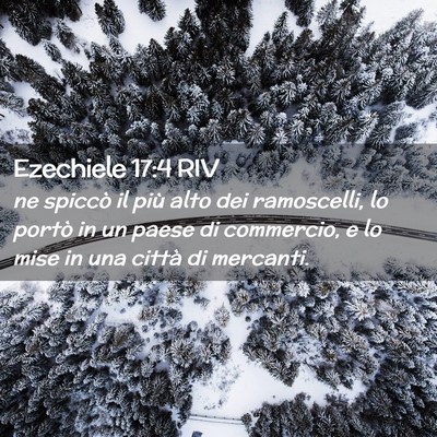 Picture 02 - Ezechiele 17:4 RIV - ne spiccò il più alto dei ramoscelli, lo portò - Bible Verse Picture