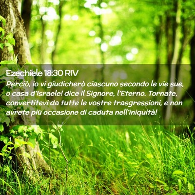 Picture 02 - Ezechiele 18:30 RIV - Perciò, io vi giudicherò ciascuno secondo le - Bible Verse Picture