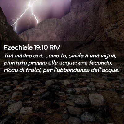 Picture 02 - Ezechiele 19:10 RIV - Tua madre era, come te, simile a una vigna, - Bible Verse Picture