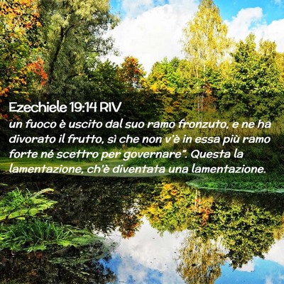 Picture 02 - Ezechiele 19:14 RIV - un fuoco è uscito dal suo ramo fronzuto, e ne ha - Bible Verse Picture