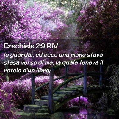 Picture 02 - Ezechiele 2:9 RIV - Io guardai, ed ecco una mano stava stesa verso di - Bible Verse Picture