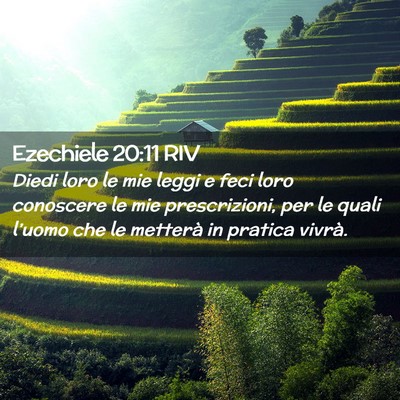 Picture 02 - Ezechiele 20:11 RIV - Diedi loro le mie leggi e feci loro conoscere le - Bible Verse Picture