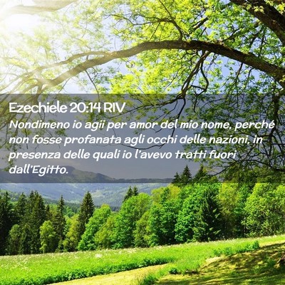 Picture 02 - Ezechiele 20:14 RIV - Nondimeno io agii per amor del mio nome, perché - Bible Verse Picture