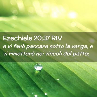 Picture 02 - Ezechiele 20:37 RIV - e vi farò passare sotto la verga, e vi - Bible Verse Picture