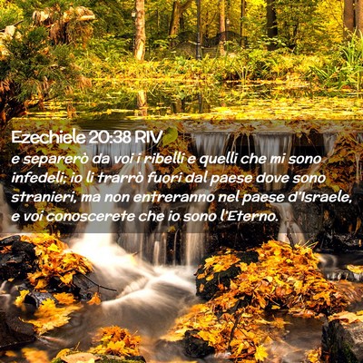 Picture 02 - Ezechiele 20:38 RIV - e separerò da voi i ribelli e quelli che mi sono - Bible Verse Picture