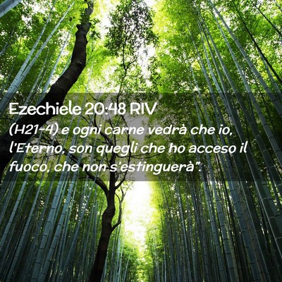 Picture 02 - Ezechiele 20:48 RIV - (H21-4) e ogni carne vedrà che io, l’Eterno, - Bible Verse Picture