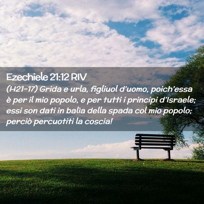 Picture 02 - Ezechiele 21:12 RIV - (H21-17) Grida e urla, figliuol d’uomo, - Bible Verse Picture