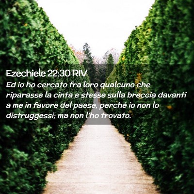 Picture 02 - Ezechiele 22:30 RIV - Ed io ho cercato fra loro qualcuno che riparasse - Bible Verse Picture