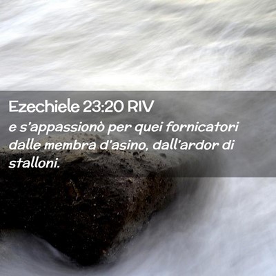 Picture 02 - Ezechiele 23:20 RIV - e s’appassionò per quei fornicatori dalle - Bible Verse Picture