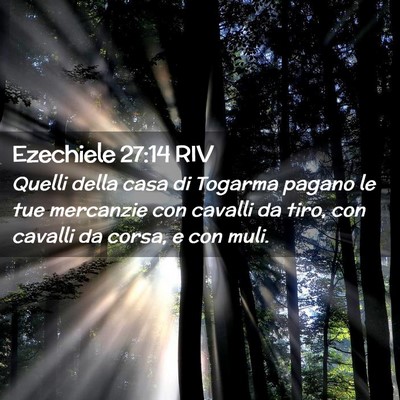 Picture 02 - Ezechiele 27:14 RIV - Quelli della casa di Togarma pagano le tue - Bible Verse Picture