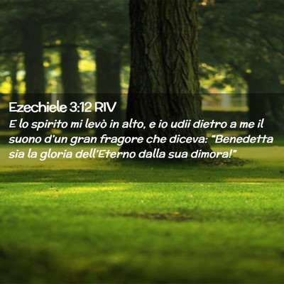 Picture 02 - Ezechiele 3:12 RIV - E lo spirito mi levò in alto, e io udii dietro a - Bible Verse Picture