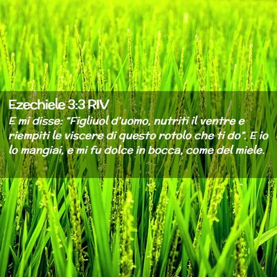 Picture 02 - Ezechiele 3:3 RIV - E mi disse: “Figliuol d’uomo, nutriti il - Bible Verse Picture