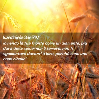 Picture 02 - Ezechiele 3:9 RIV - io rendo la tua fronte come un diamante, più - Bible Verse Picture