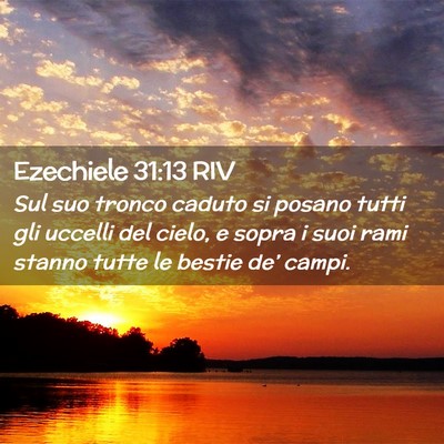 Picture 02 - Ezechiele 31:13 RIV - Sul suo tronco caduto si posano tutti gli uccelli - Bible Verse Picture
