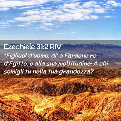 Picture 02 - Ezechiele 31:2 RIV - “Figliuol d’uomo, di’ a Faraone re - Bible Verse Picture