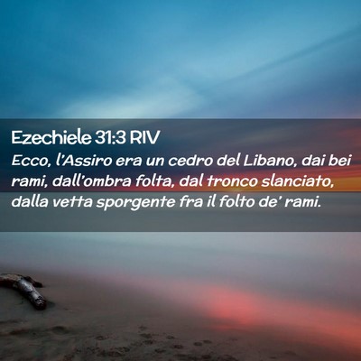 Picture 02 - Ezechiele 31:3 RIV - Ecco, l’Assiro era un cedro del Libano, dai bei - Bible Verse Picture