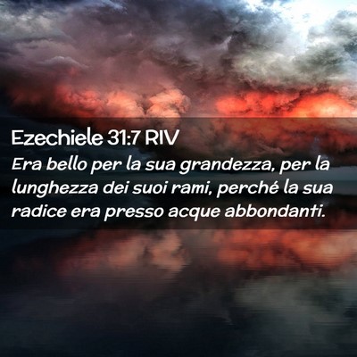 Picture 02 - Ezechiele 31:7 RIV - Era bello per la sua grandezza, per la lunghezza - Bible Verse Picture