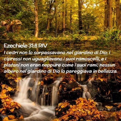 Picture 02 - Ezechiele 31:8 RIV - I cedri non lo sorpassavano nel giardino di Dio; - Bible Verse Picture