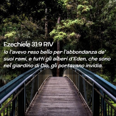 Picture 02 - Ezechiele 31:9 RIV - Io l’avevo reso bello per l’abbondanza de’ - Bible Verse Picture