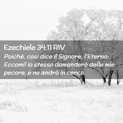 Picture 02 - Ezechiele 34:11 RIV - Poiché, così dice il Signore, l’Eterno: - Bible Verse Picture