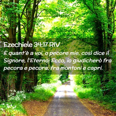 Picture 02 - Ezechiele 34:17 RIV - E quant’è a voi, o pecore mie, così dice il - Bible Verse Picture