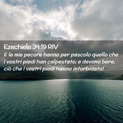 Picture 02 - Ezechiele 34:19 RIV - E le mie pecore hanno per pascolo quello che i - Bible Verse Picture