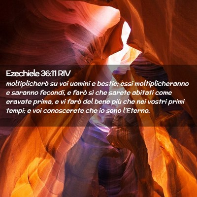 Picture 02 - Ezechiele 36:11 RIV - moltiplicherò su voi uomini e bestie; essi - Bible Verse Picture