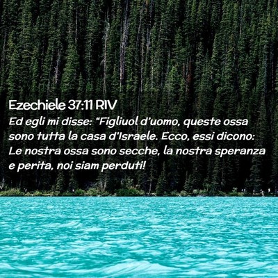 Picture 02 - Ezechiele 37:11 RIV - Ed egli mi disse: “Figliuol d’uomo, queste - Bible Verse Picture