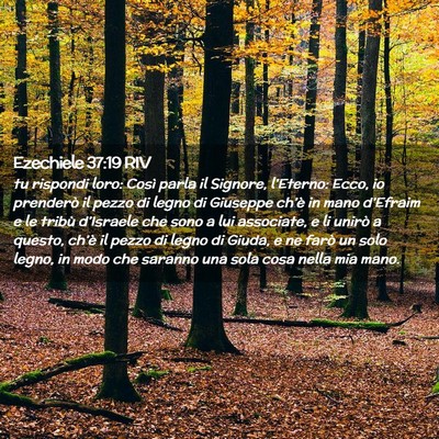Picture 02 - Ezechiele 37:19 RIV - tu rispondi loro: Così parla il Signore, - Bible Verse Picture