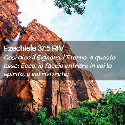 Picture 02 - Ezechiele 37:5 RIV - Così dice il Signore, l’Eterno, a queste ossa: - Bible Verse Picture