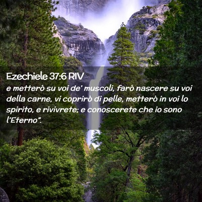 Picture 02 - Ezechiele 37:6 RIV - e metterò su voi de’ muscoli, farò nascere su - Bible Verse Picture