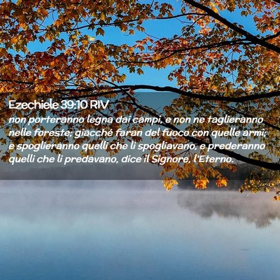 Picture 02 - Ezechiele 39:10 RIV - non porteranno legna dai campi, e non ne - Bible Verse Picture