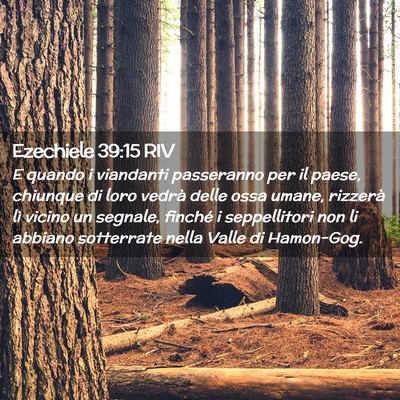 Picture 02 - Ezechiele 39:15 RIV - E quando i viandanti passeranno per il paese, - Bible Verse Picture