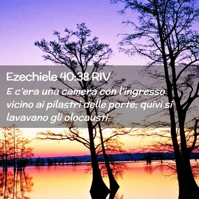Picture 02 - Ezechiele 40:38 RIV - E c’era una camera con l’ingresso vicino ai - Bible Verse Picture