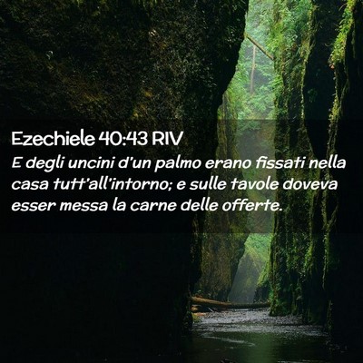 Picture 02 - Ezechiele 40:43 RIV - E degli uncini d’un palmo erano fissati nella - Bible Verse Picture