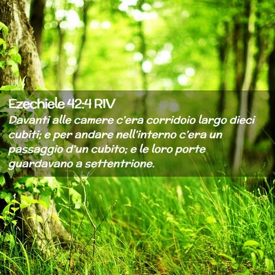 Picture 02 - Ezechiele 42:4 RIV - Davanti alle camere c’era corridoio largo dieci - Bible Verse Picture