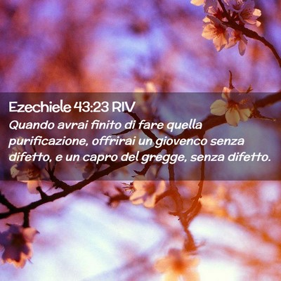 Picture 02 - Ezechiele 43:23 RIV - Quando avrai finito di fare quella purificazione, - Bible Verse Picture
