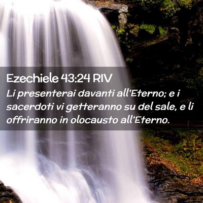Picture 02 - Ezechiele 43:24 RIV - Li presenterai davanti all’Eterno; e i - Bible Verse Picture