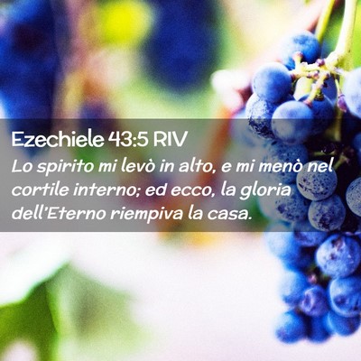 Picture 02 - Ezechiele 43:5 RIV - Lo spirito mi levò in alto, e mi menò nel - Bible Verse Picture