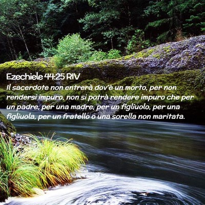 Picture 02 - Ezechiele 44:25 RIV - Il sacerdote non entrerà dov’è un morto, per - Bible Verse Picture