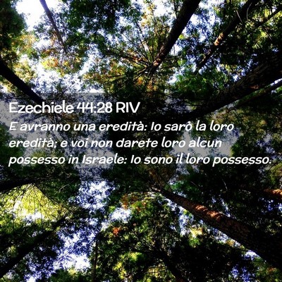 Picture 02 - Ezechiele 44:28 RIV - E avranno una eredità: Io sarò la loro - Bible Verse Picture