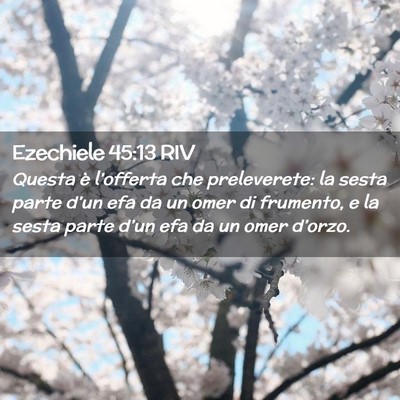 Picture 02 - Ezechiele 45:13 RIV - Questa è l’offerta che preleverete: la sesta - Bible Verse Picture