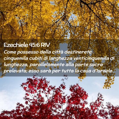 Picture 02 - Ezechiele 45:6 RIV - Come possesso della città destinerete cinquemila - Bible Verse Picture